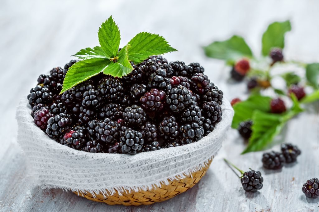 black berries