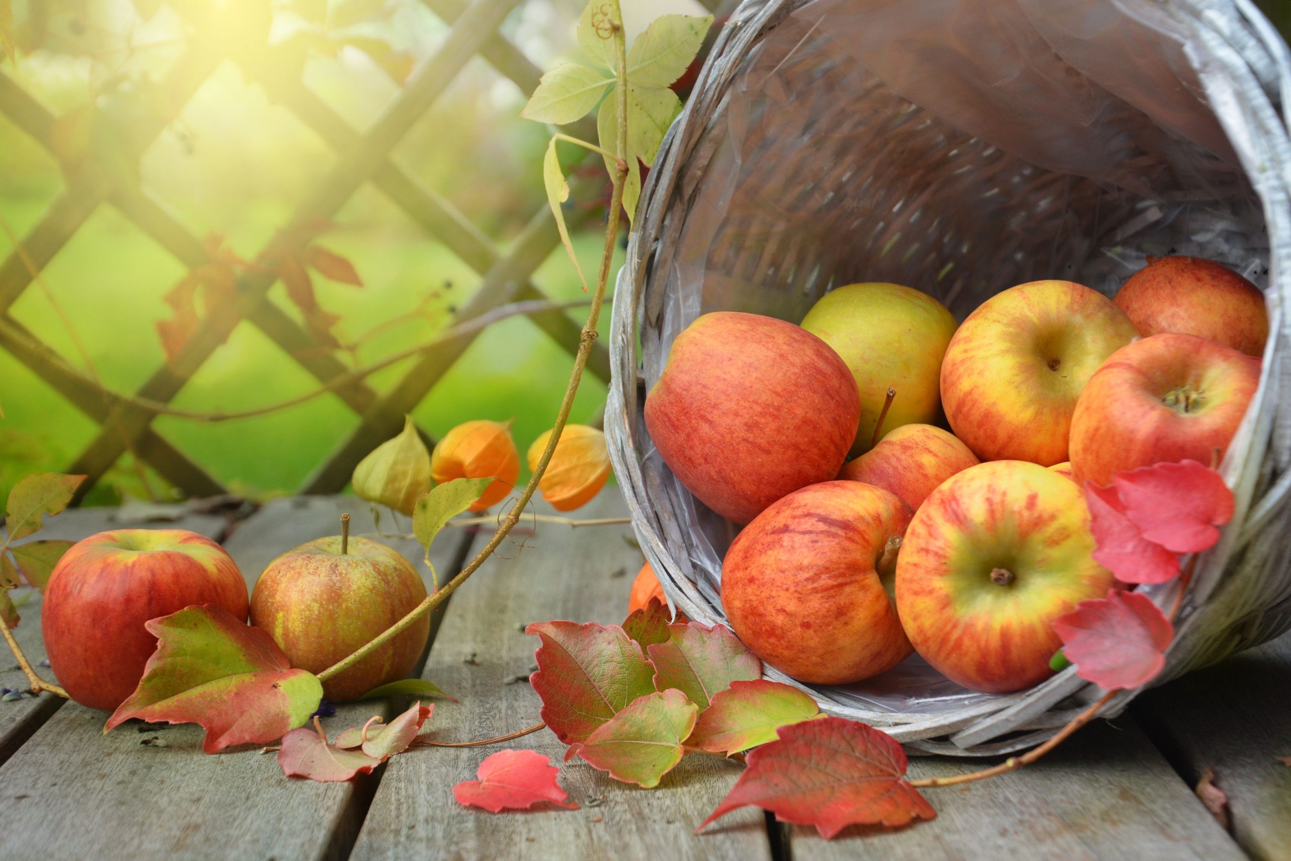 apple_nutritions