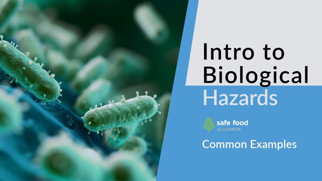The Biological Impact: Why You Need This