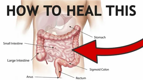Digestive Health and Gut Microbiome