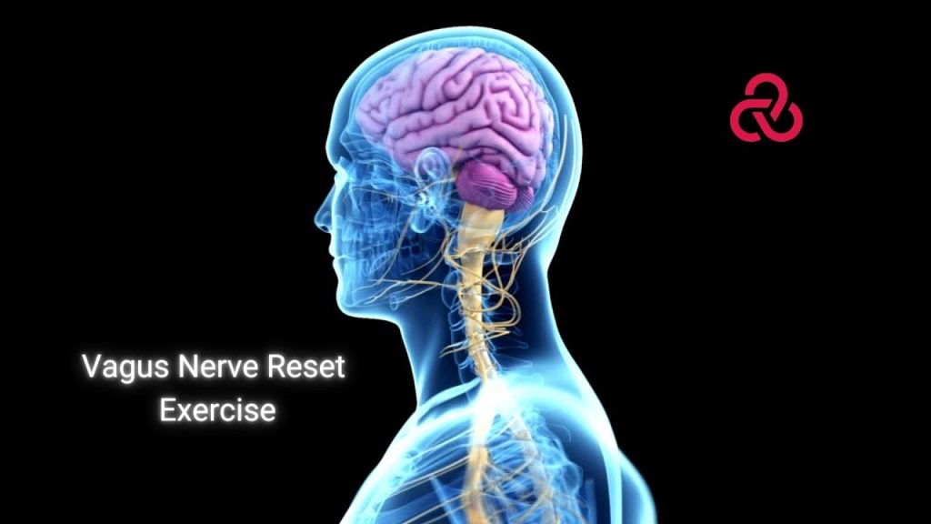 Yoga and the Nervous System Reset