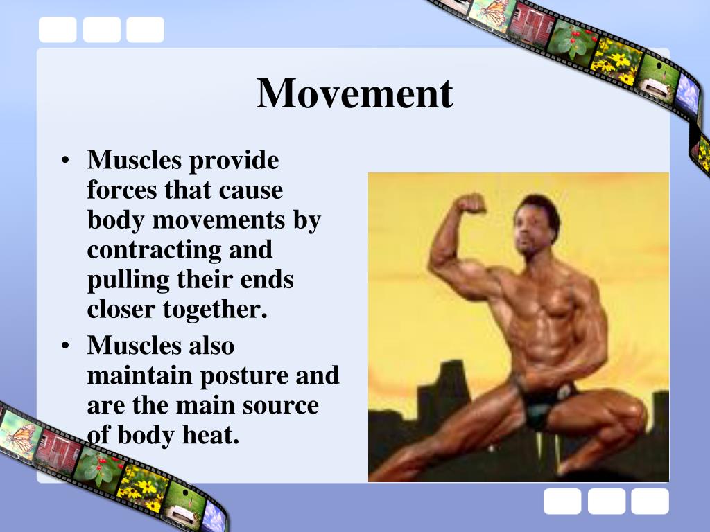 The Physiology of Varied Movement